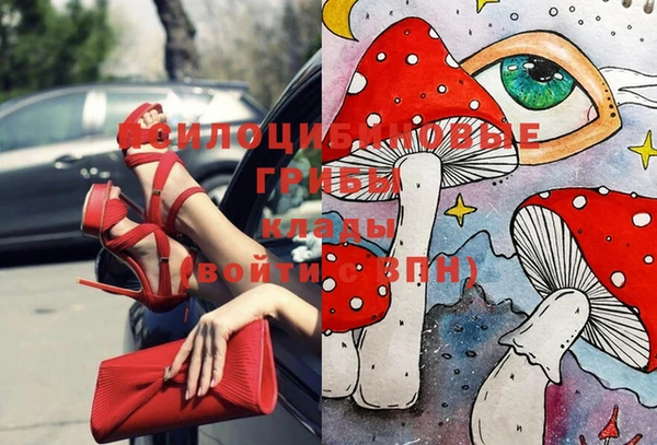 spice Абаза